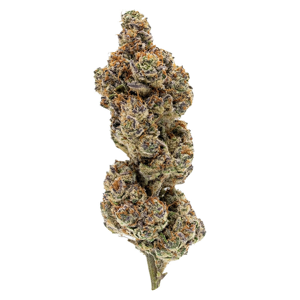 Punch Out (Grape Bubble Gum)3.5g Dried Flower B215
